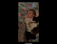 (RED FLAG) VIRALSNARE? (she said she submitted to us first but I'm not sure. Probably worth reaching out to them & check their times) - https://www.tiktok.com/@dbzgalxo/video/6984618498907557126