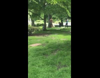 Man shirtless tree photo shoot Cemetery