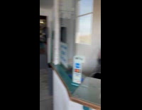 Woman buying food for the seal 