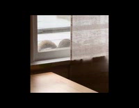 Squirrel tried to eat from bird feeder