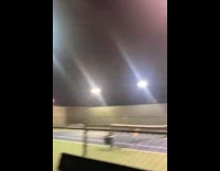 White dog runs around outdoor tennis court 