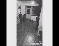 music white dog catching ball in slow mo