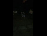 guys smashing beer can on head 