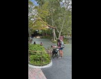 Woman white shorts push up pavement disneyland