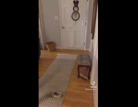 Guy Messes Around House Since Wife Isnt Home