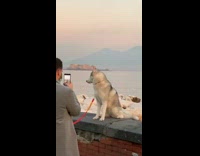 Guy grey coat husky sit ledge shore