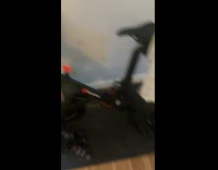 Guy wonders where dog is 