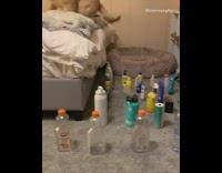 Golden retriever dog avoids bottle obstacle bed 