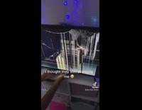 Woman thinks nieces trying to prank her broken TV