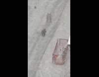 Woman white bikini surfboard snowstorm street