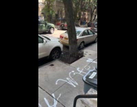 Cheat accusations spray painted on the sidewalk