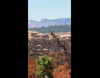 Woman sports bra sits edge of cliff