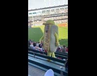 Guy says mustard hotdog costume sucks