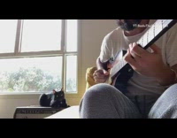 Guy plays electric guitar cat meows sings 