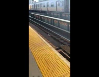 Bouquet of discarded roses on subway train tracks