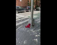 Injured Elmo sits on sidewalk with bandaid 