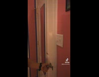 Girl laughs at brothers haircut 