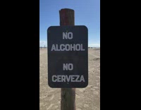 Guy asks if tequila is bueno 