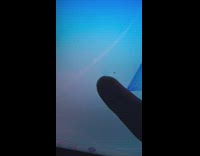 Small black bug inside computer screen guy 