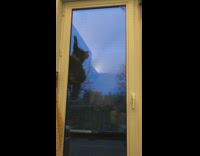 Black pet cat climbs glass door outside