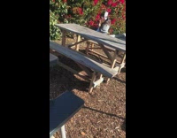 Girl poses with flowers 