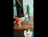 Dog Just Stares at Chips as Man Calls it