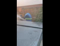 Collab ClipsIG - Man sprays dad with water hose 