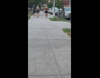 Guy walking on sidewalk carrying his big brown retriever dog