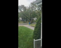 Couple takes pictures on a tree after the storm 