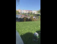 Woman transparent black shirt dance lake grass