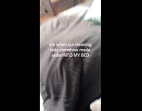 Brown dog hiding under blanket