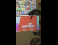 Cat tries to catch hand cursor wall 