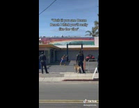 Guy dances in front of cops after stealing 