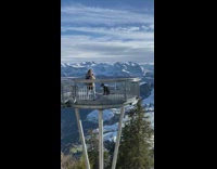 Black dog middle snowy mountains view pictorial