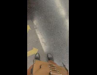 Woman brings giant tree branch home through subway