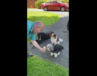 Dad shares ice cream cone with dog