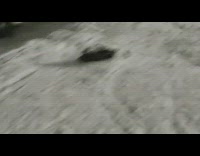 Person snowboarding falls after small ramp