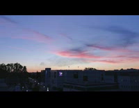 Large flock of birds fly wave sky