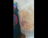 Pet hamster eats nut with its eyes close