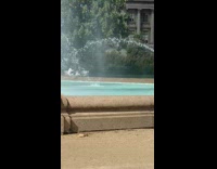 Woman black one piece bikini poses on the water fountain