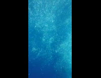 Underwater submarine goes up surface tour guide  