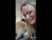 Compilation brown dog blue collar humps toys