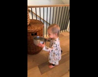 Toddler preparing food for dog 