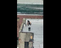Two people outside rooftop popcorn brick building