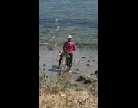 Girl photograph toy horse on wet sand