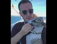 Guy feeds seagull birds dog boat 