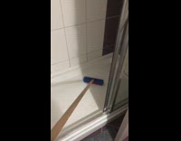 Cat watches guy do chores around house 