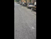 Car damage seen on line of parked cars 