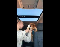 Collab Clips mpugc - Dog eats entire ice cream cone