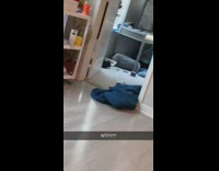 Collab BitchMP - Cat steals blue blanket and pulls it away